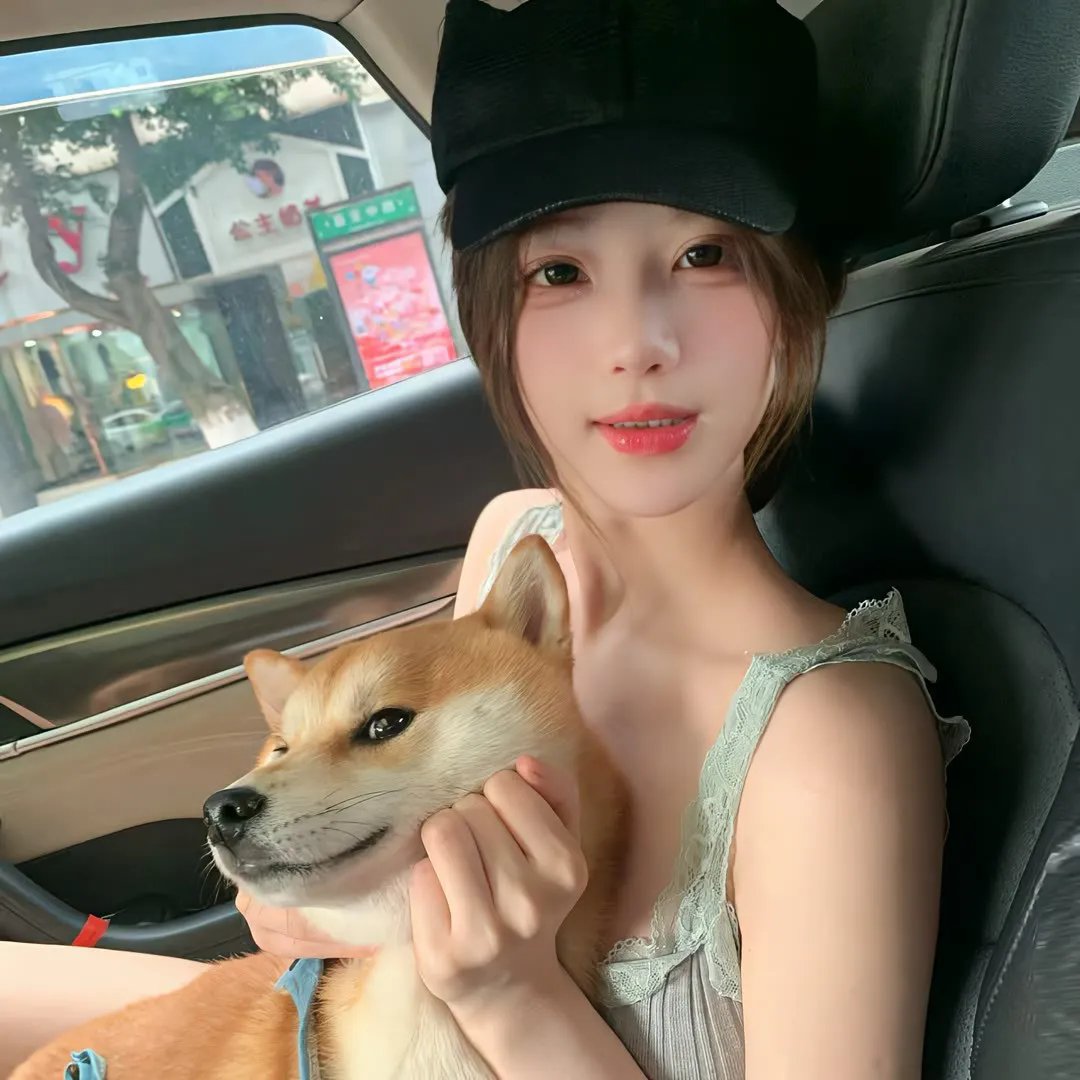 寻找完美先生
