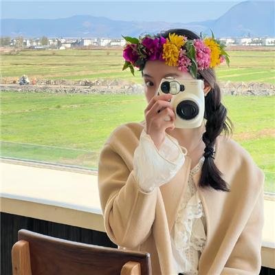 兰闺飞凤